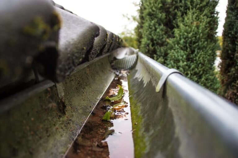 Gutter Cleaning